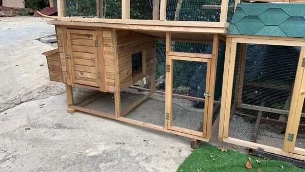 Ahşap Tavuk Kümesi 10 Tavukluk TK0006 3 Görseli
