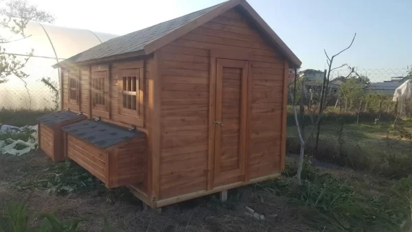 Büyük Ahşap Tavuk Kümesi KB001 Görseli 2