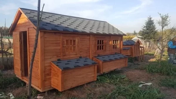 Büyük Ahşap Tavuk Kümesi KB001 Görseli 4