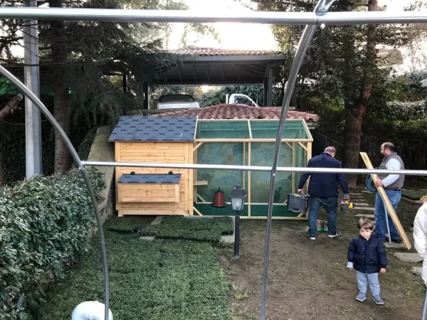 Tel Alanlı Ahşap Tavuk Kümesi TK0001 Görseli 3